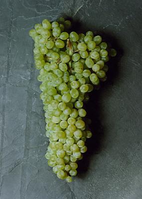 Gröna Vindruvor 1